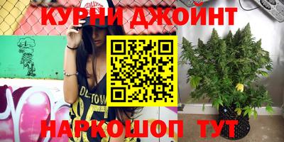шишки Моздок