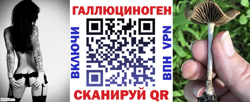 Псилоцибиновые грибы ЛСД  сколько стоит  Ртищево 