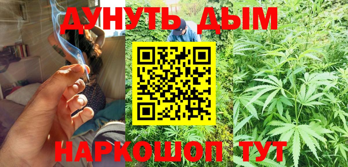 Каннабис конопля  Вход с VPN  Шишки марихуана Bruce Banner  Шишки марихуана тримм  Ртищево  Марихуана семена 